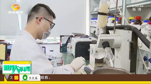 我國抗新冠病毒藥物研發取得關鍵進展，多款新藥進入臨床試驗階段