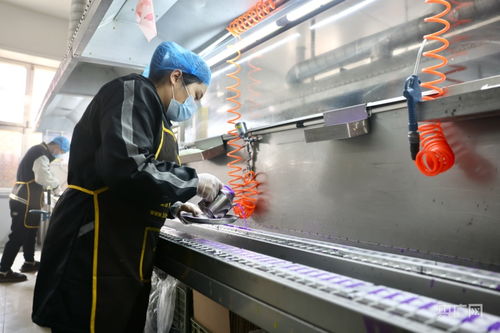 河北寧晉 小蠟燭點亮富民大產業，推動醫學研究與試驗發展