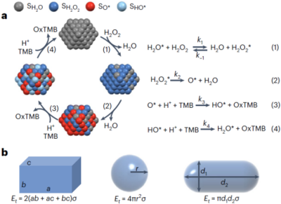 國家納米中心高興發(fā)團隊在Nature Protocols發(fā)表綜述 納米酶催化活性與動力學測定方法優(yōu)化